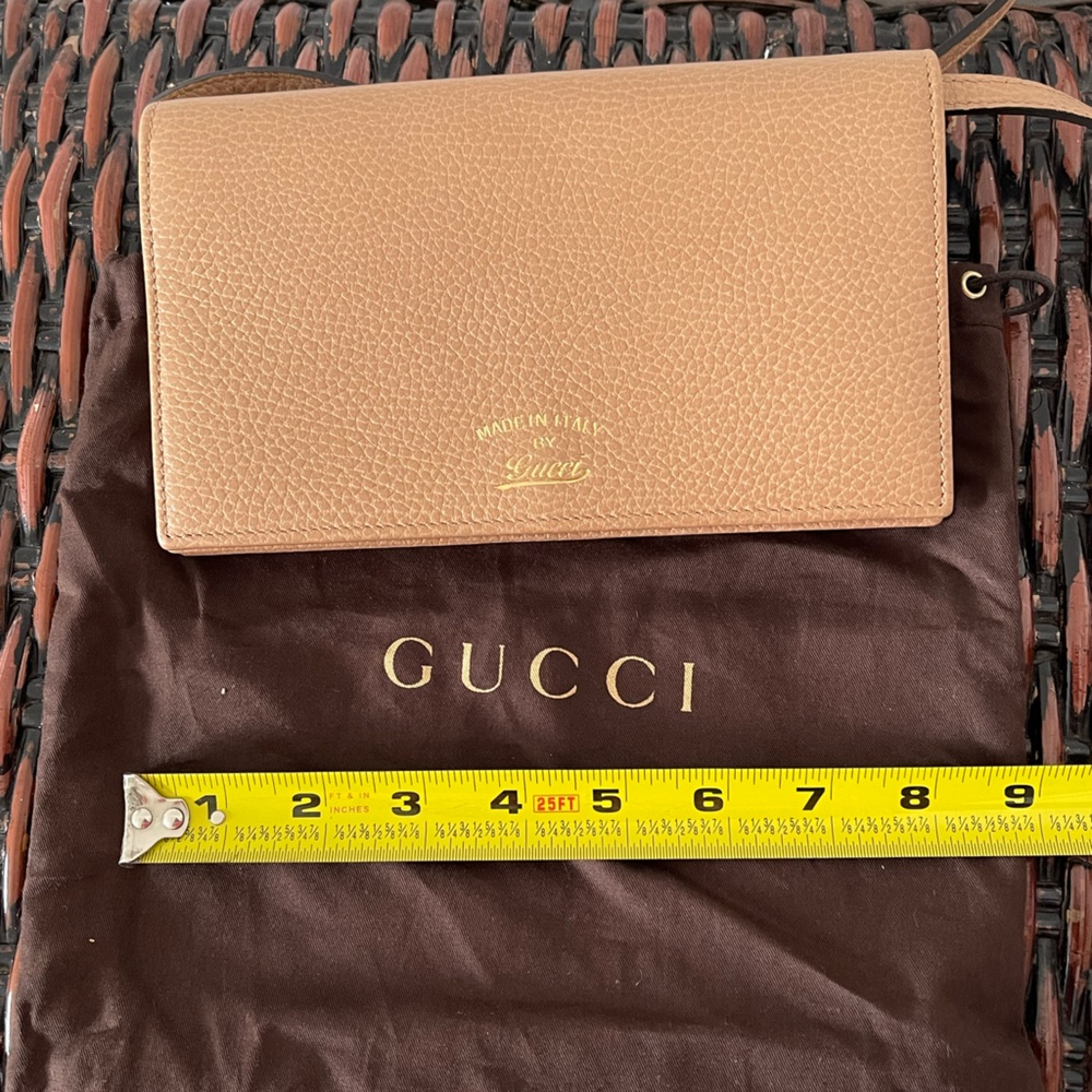 Gucci wallet bag
